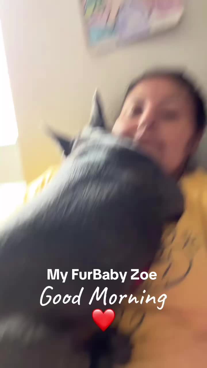 @Zoe Love The Frenchie
