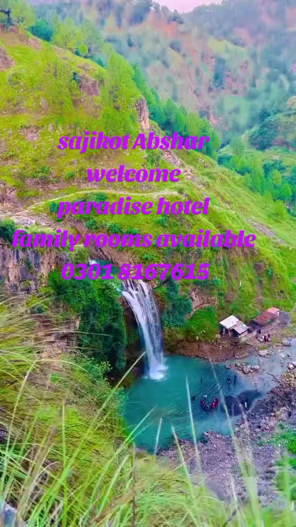 @muhammadsaddique8622
