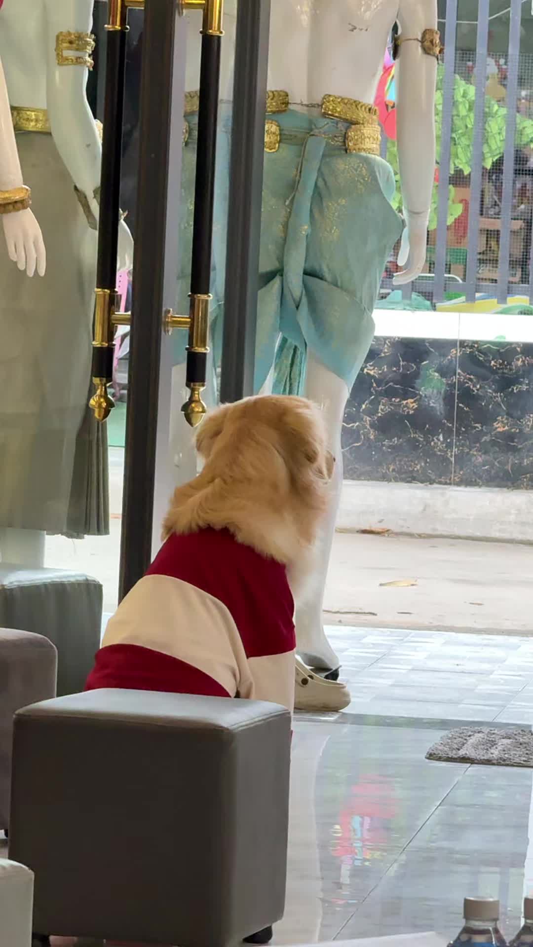 @Nết NaRy