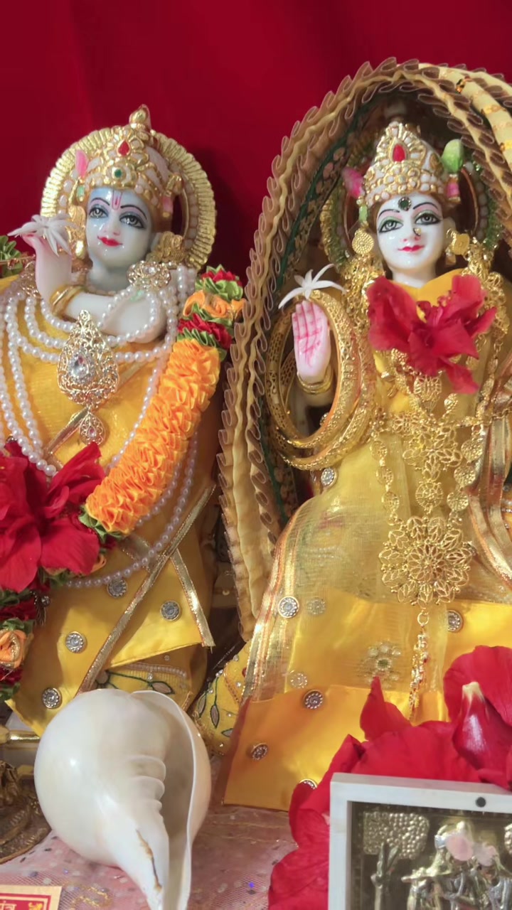 @Bhavika Gor