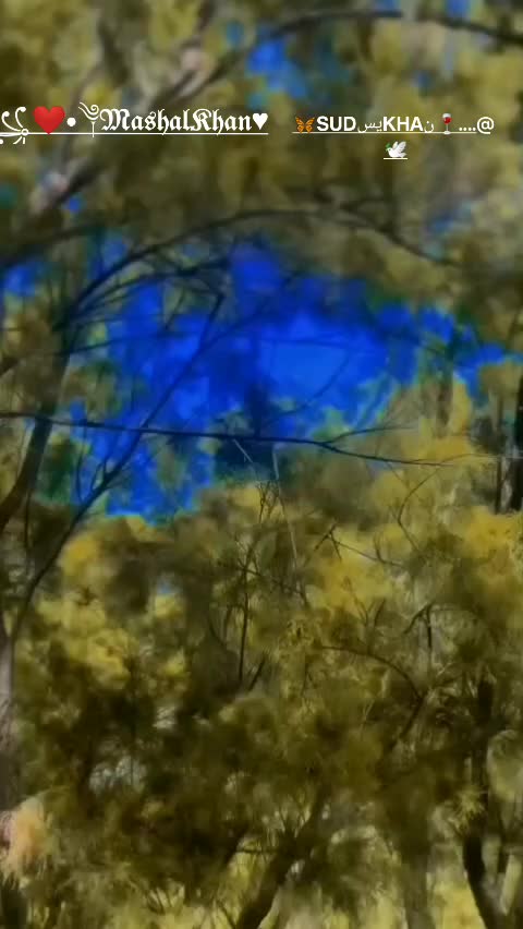 @꧁❤•༆𝕸𝖆𝖘𝖍𝖆𝖑 𝕶𝖍𝖆𝖓♥