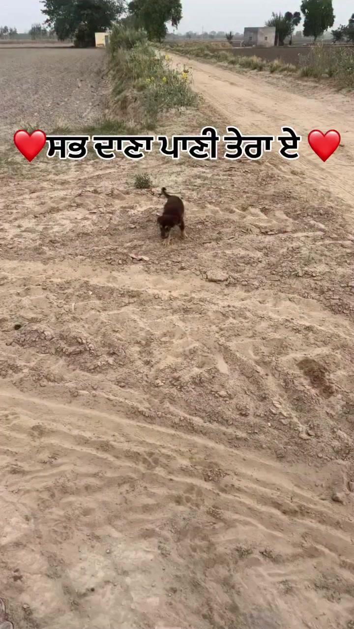 @SIDHU SAB