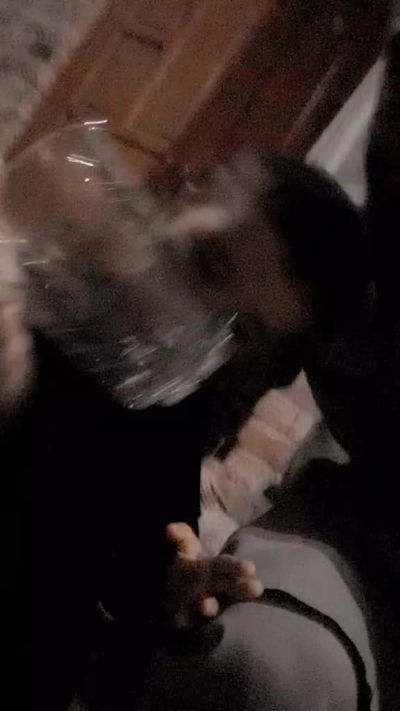 @ᴍʀ  𝙱𝚒𝚕𝚊𝚕  &times;͜&times;