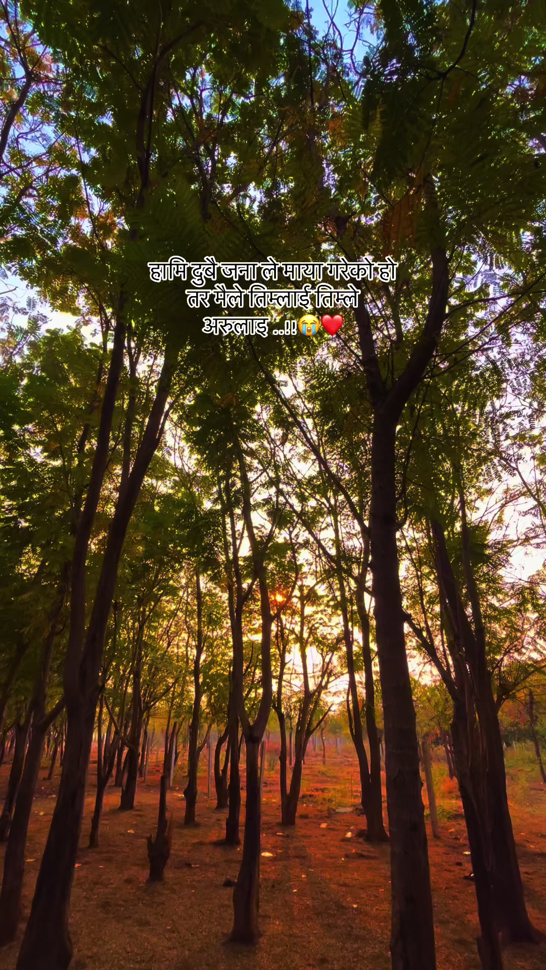 @❤️&zwj;🩹