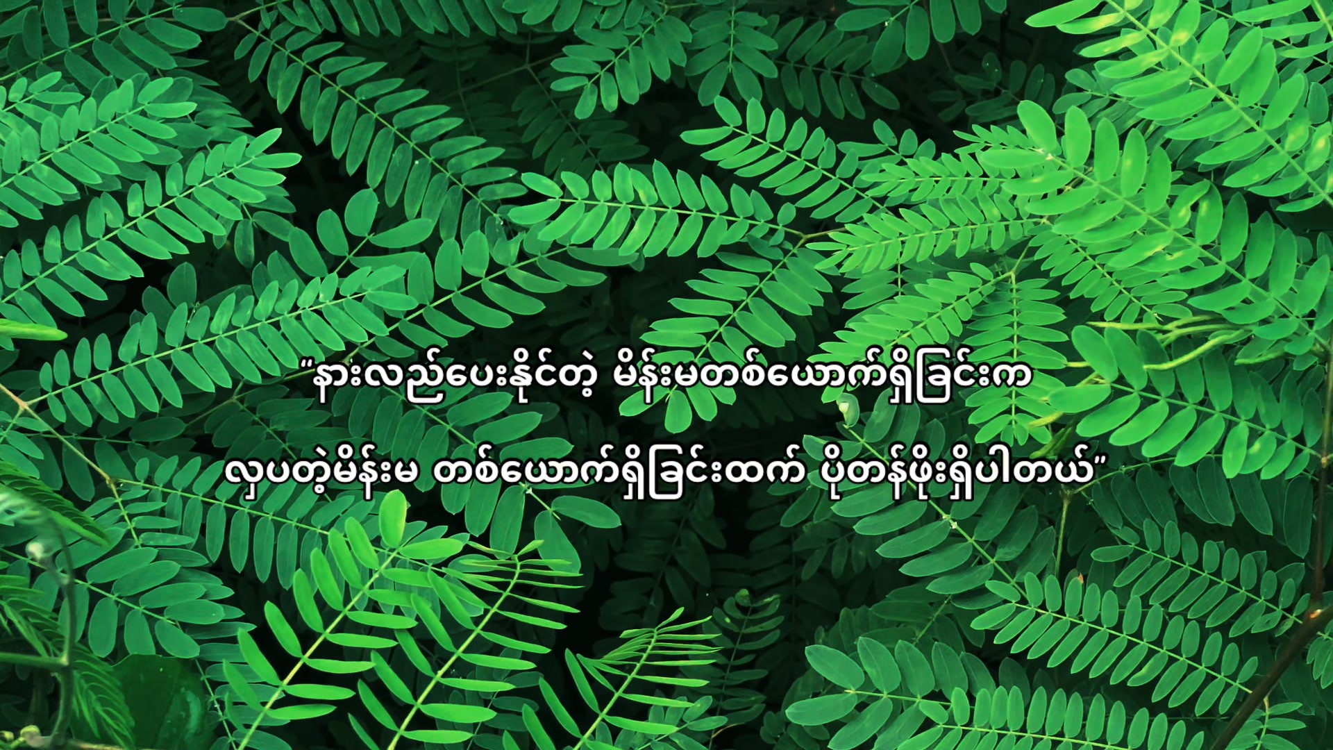 @๐๐ผ๐๐ฟ๐ผ