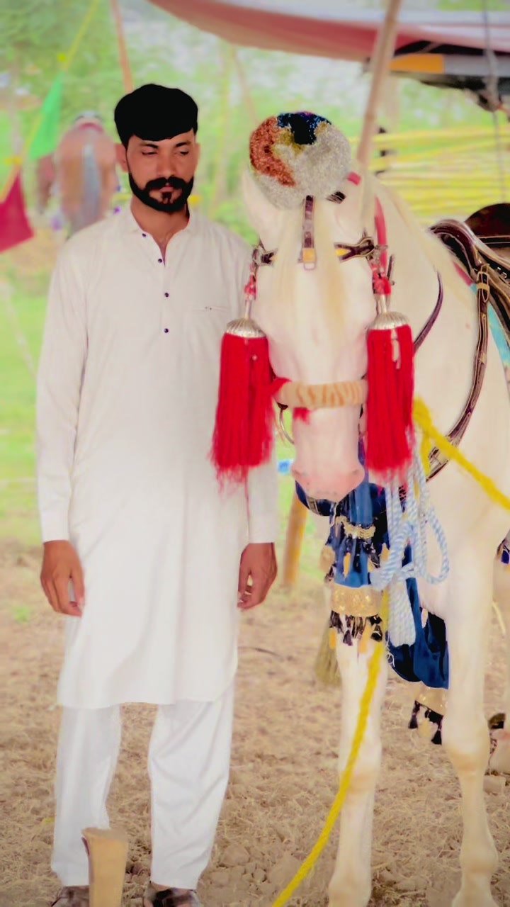 @ارسلان شاہ منڈی آلہ😍