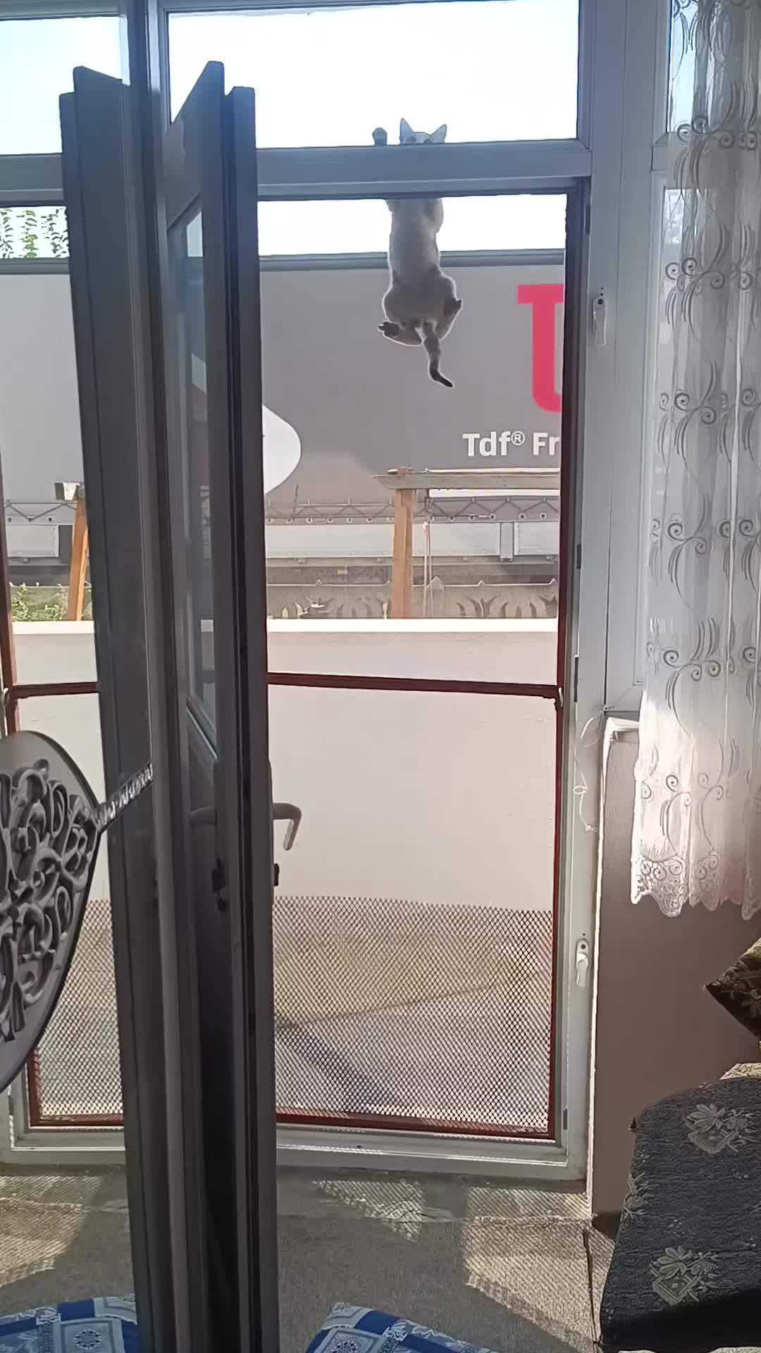 @nigre.