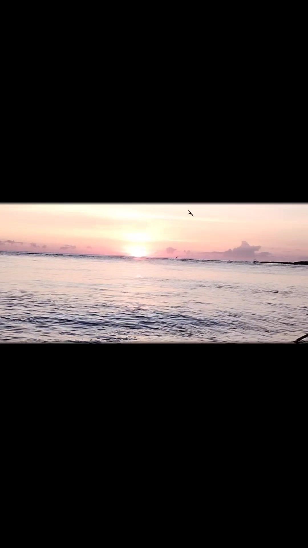 @Pesca costa Esmeralda Ver.