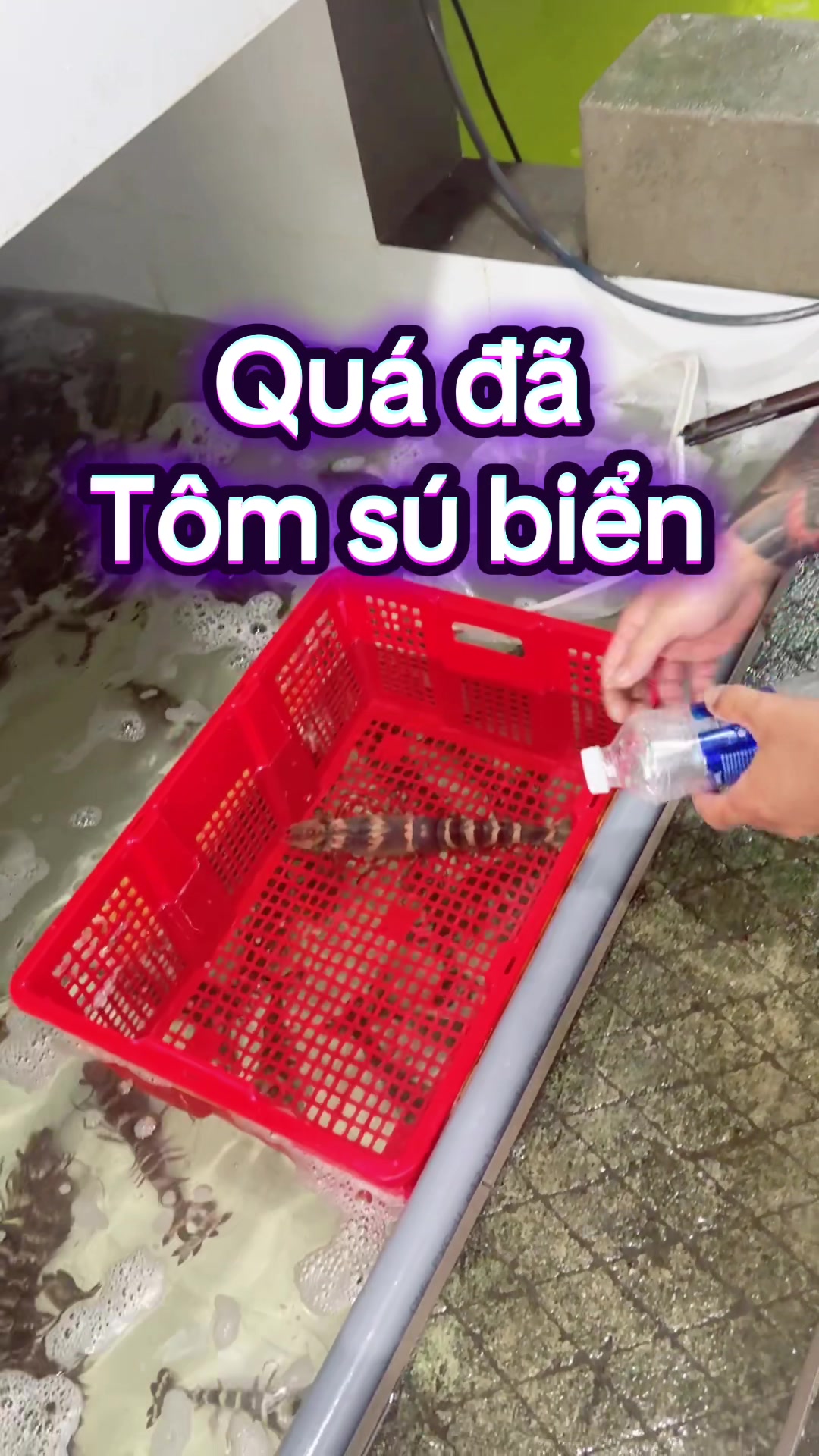 @Thịnh Sú Biển