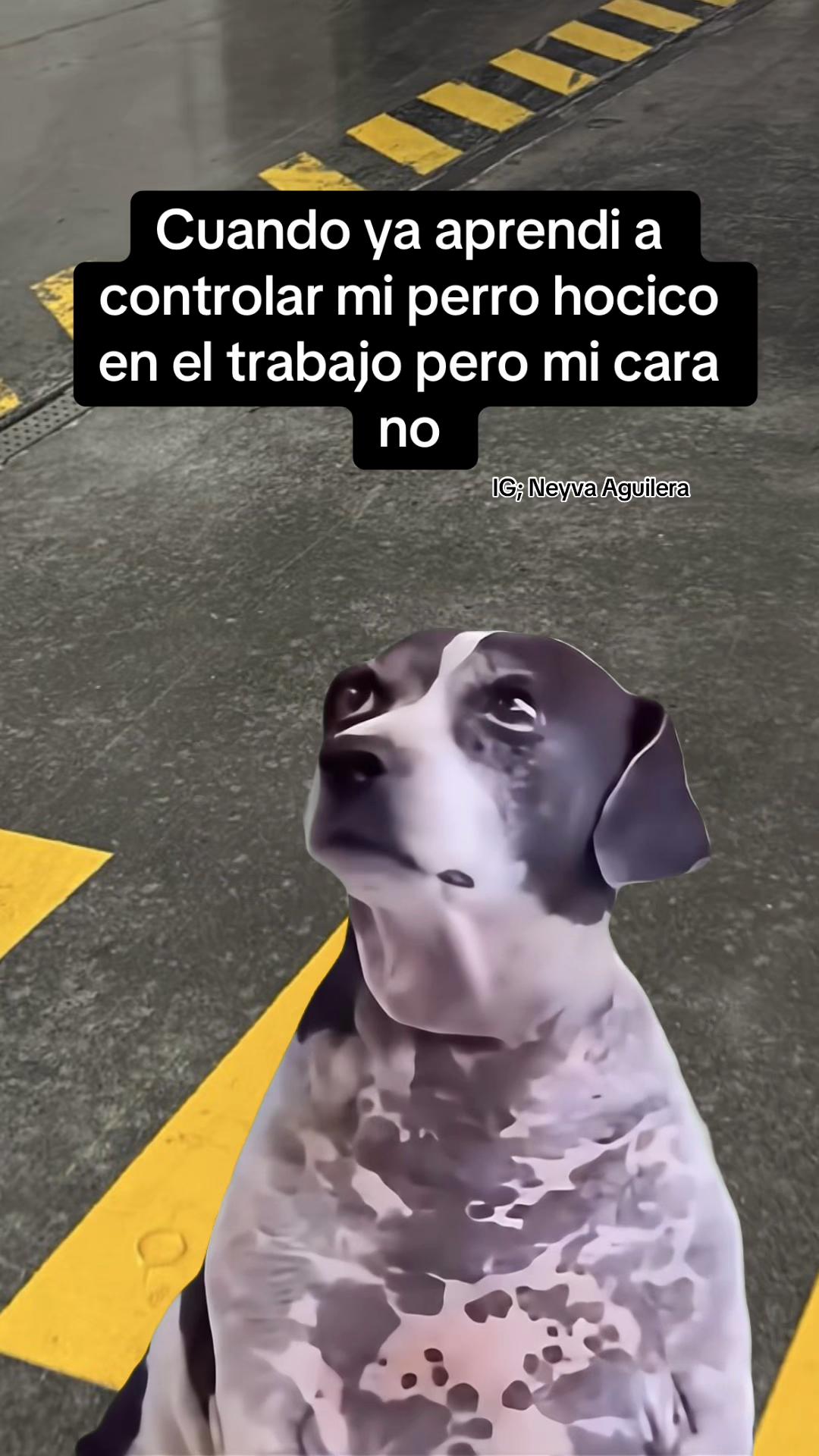 @Neyva Aguilera