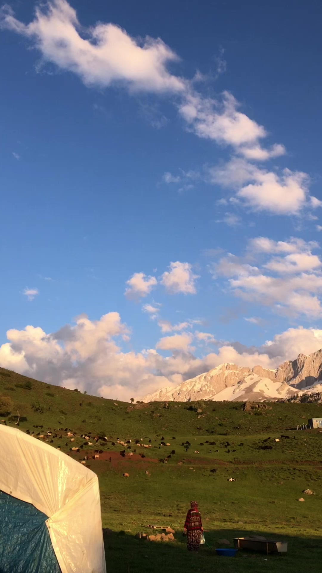 @ALİ AKKAŞ