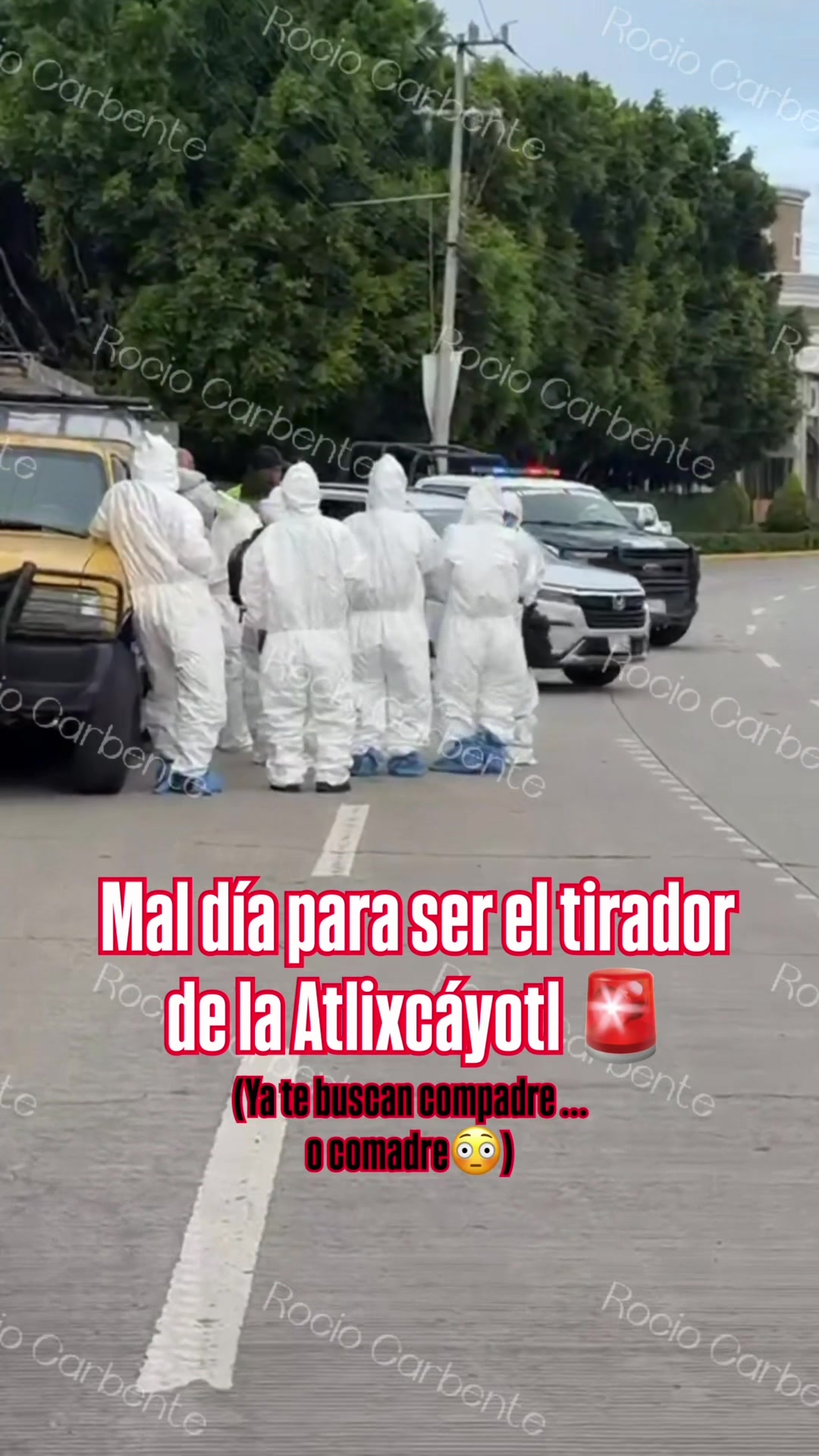 @Rocío Carbente (reportera🎤)