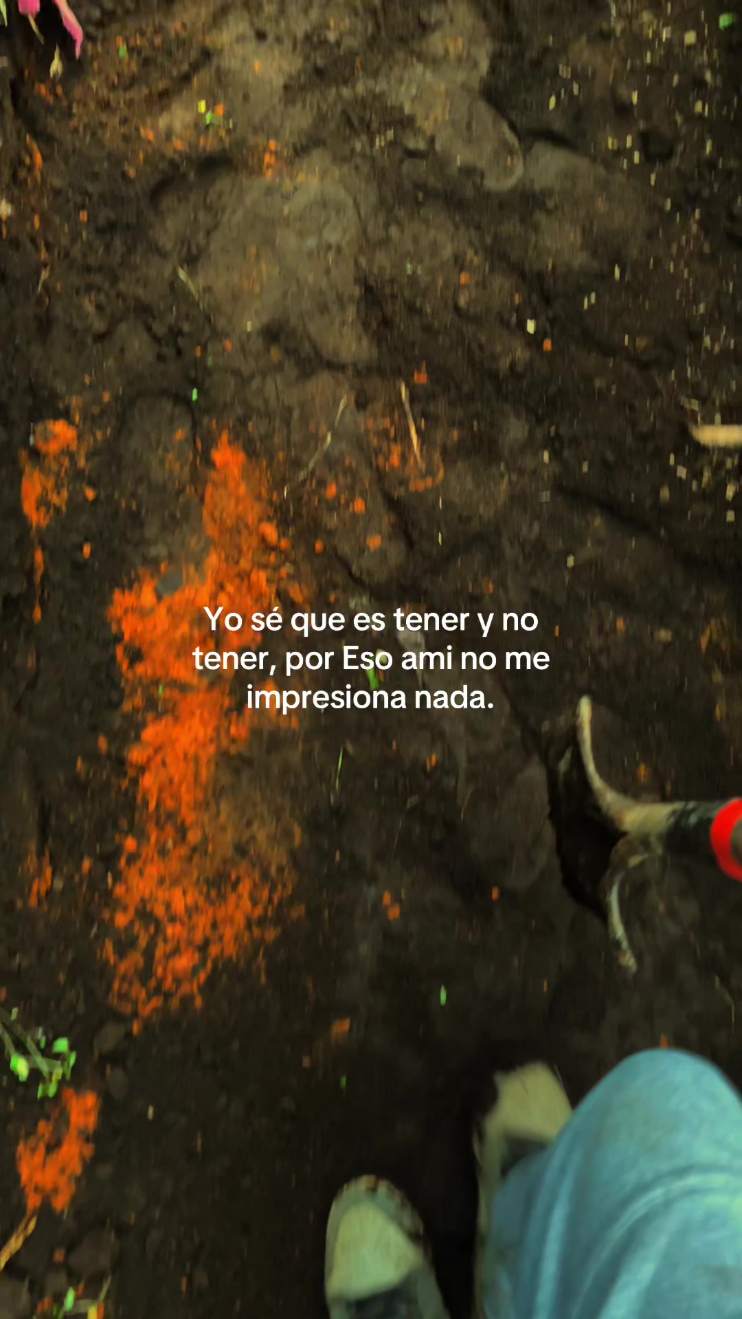 @markitos_mb1