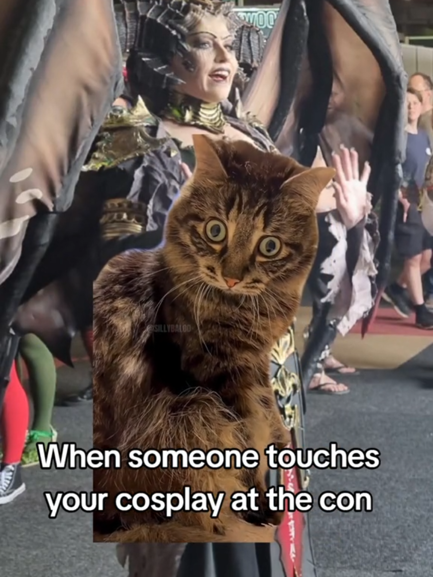 @Toonibug