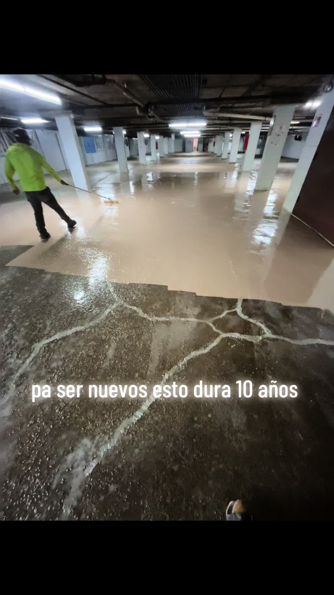 @Felino87