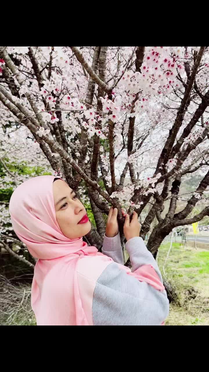 @Sakura Pie 🌸