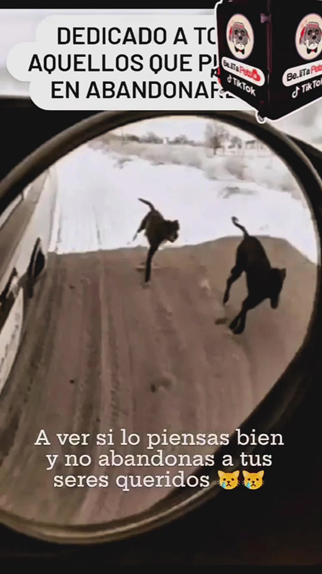 @BelitaPets