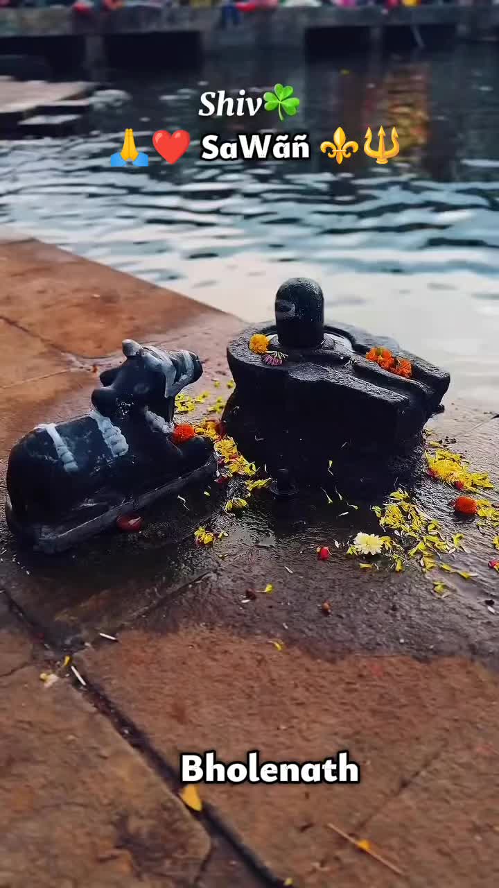 @🕉☘️Sujata❤🌻🦚