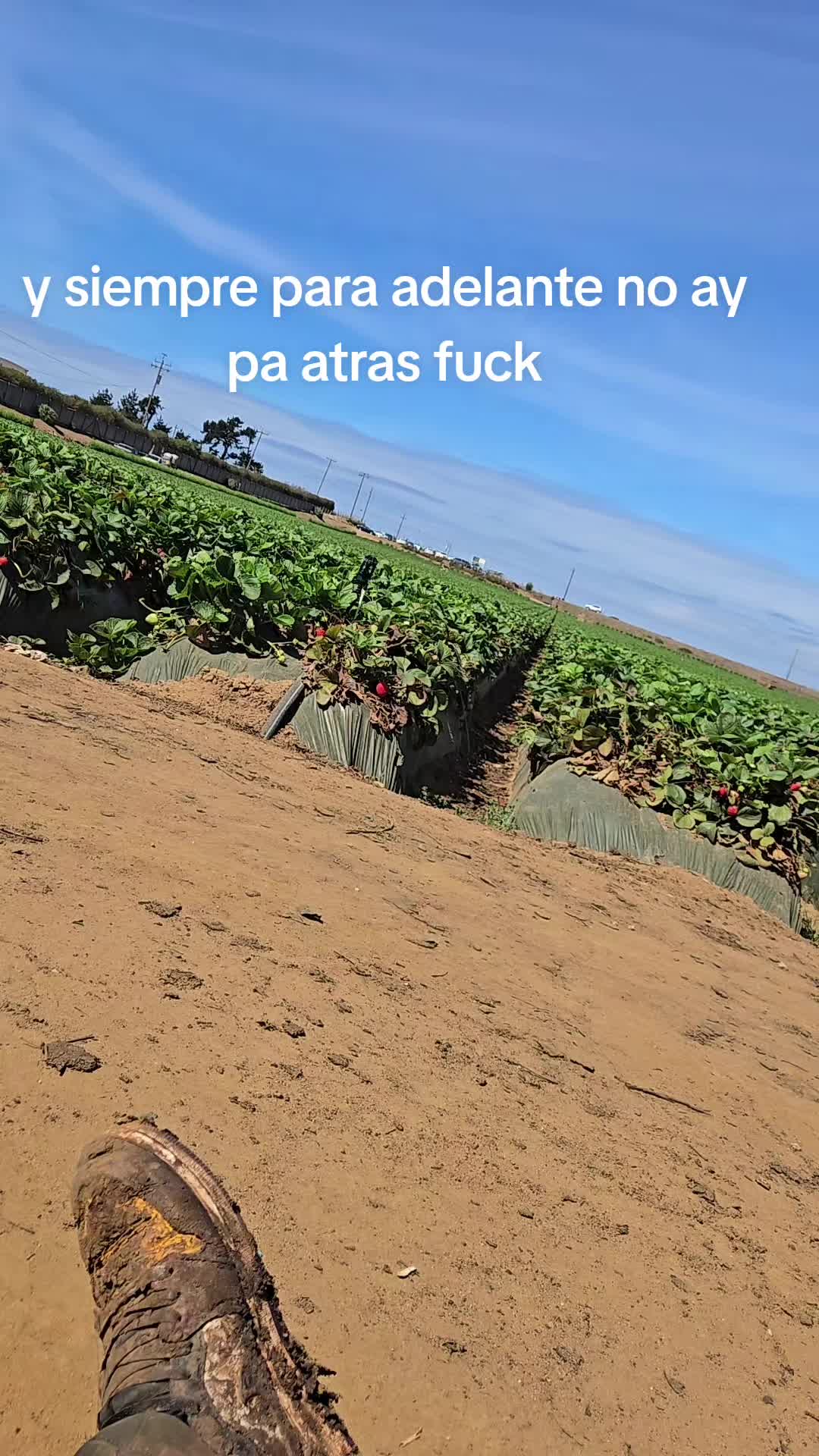 @REYES🦜