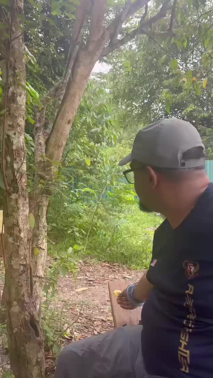 @jijo78