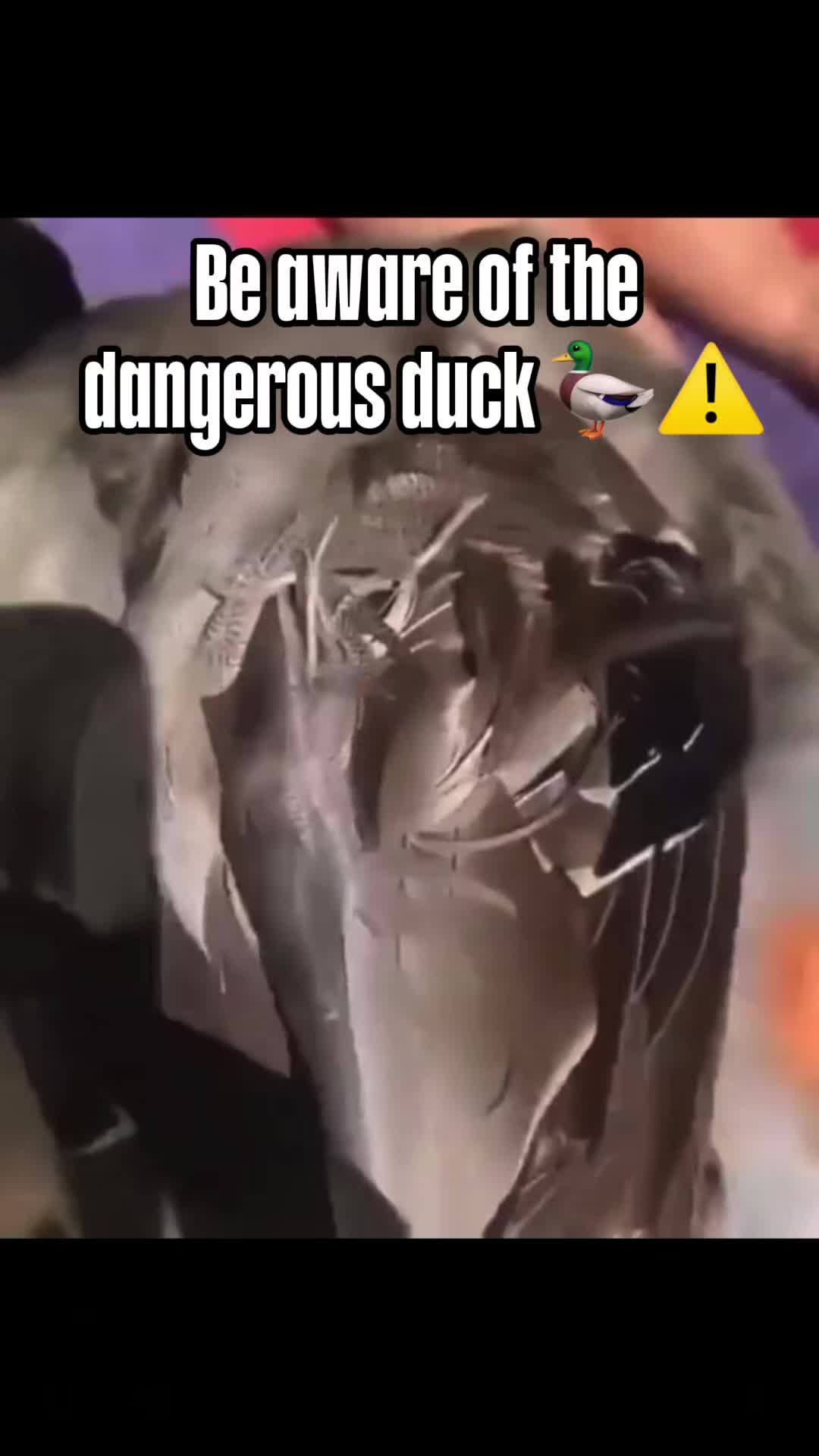 @ViralCarousel
