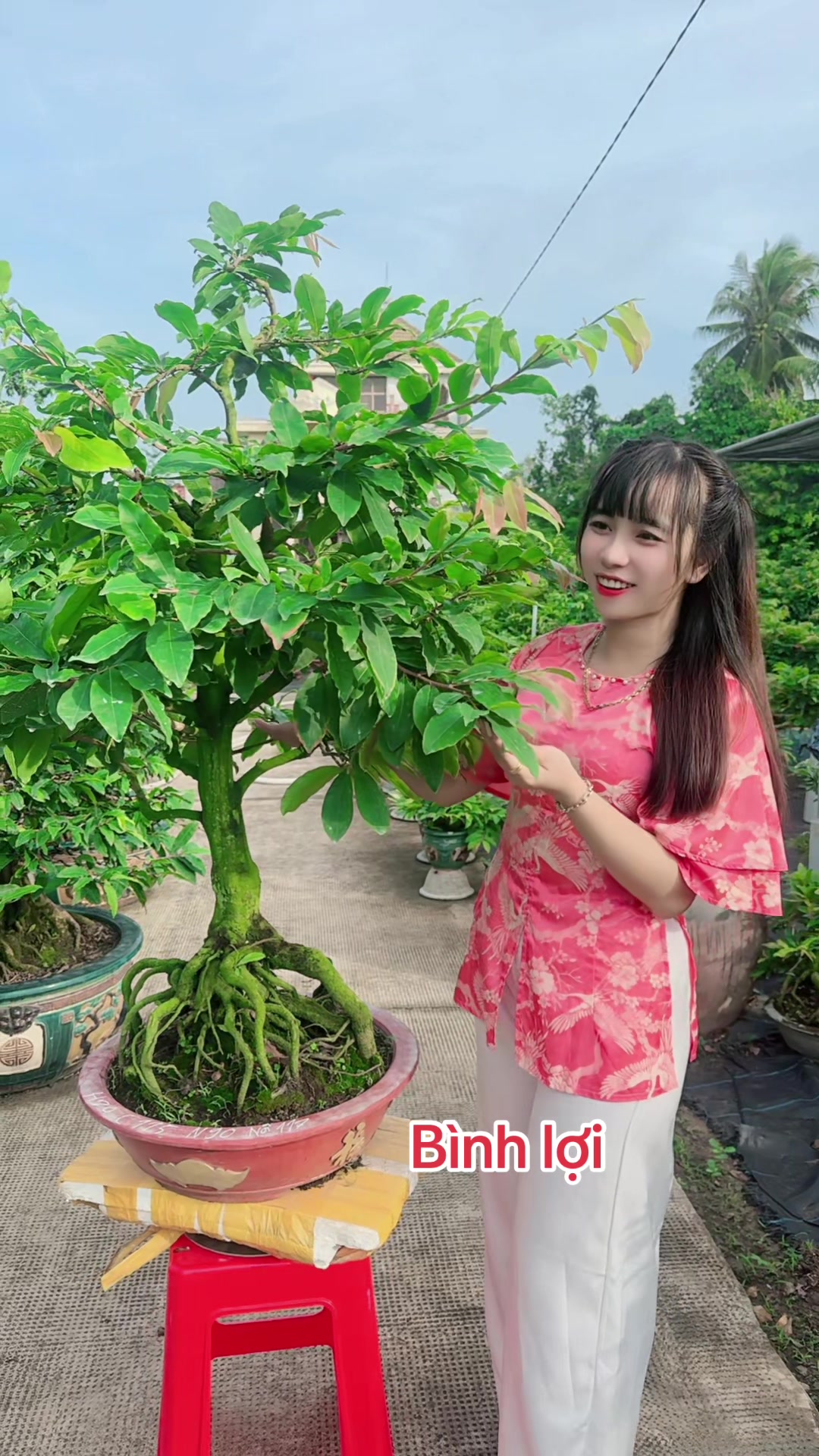 @Chichchoebong79