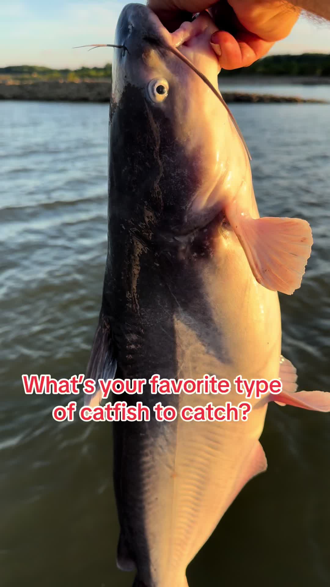 @Kentucky Fishing