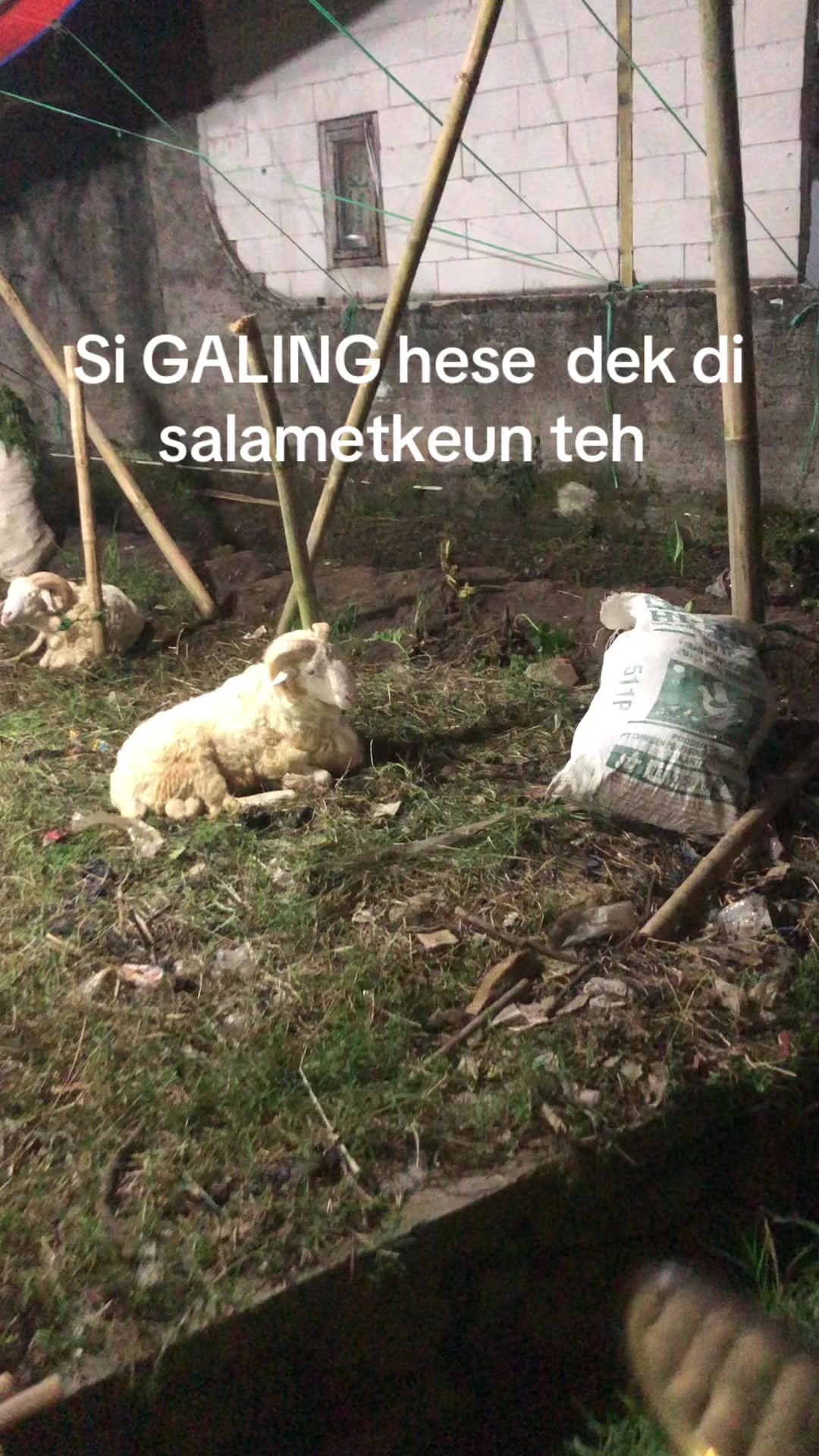 @Hanafi2