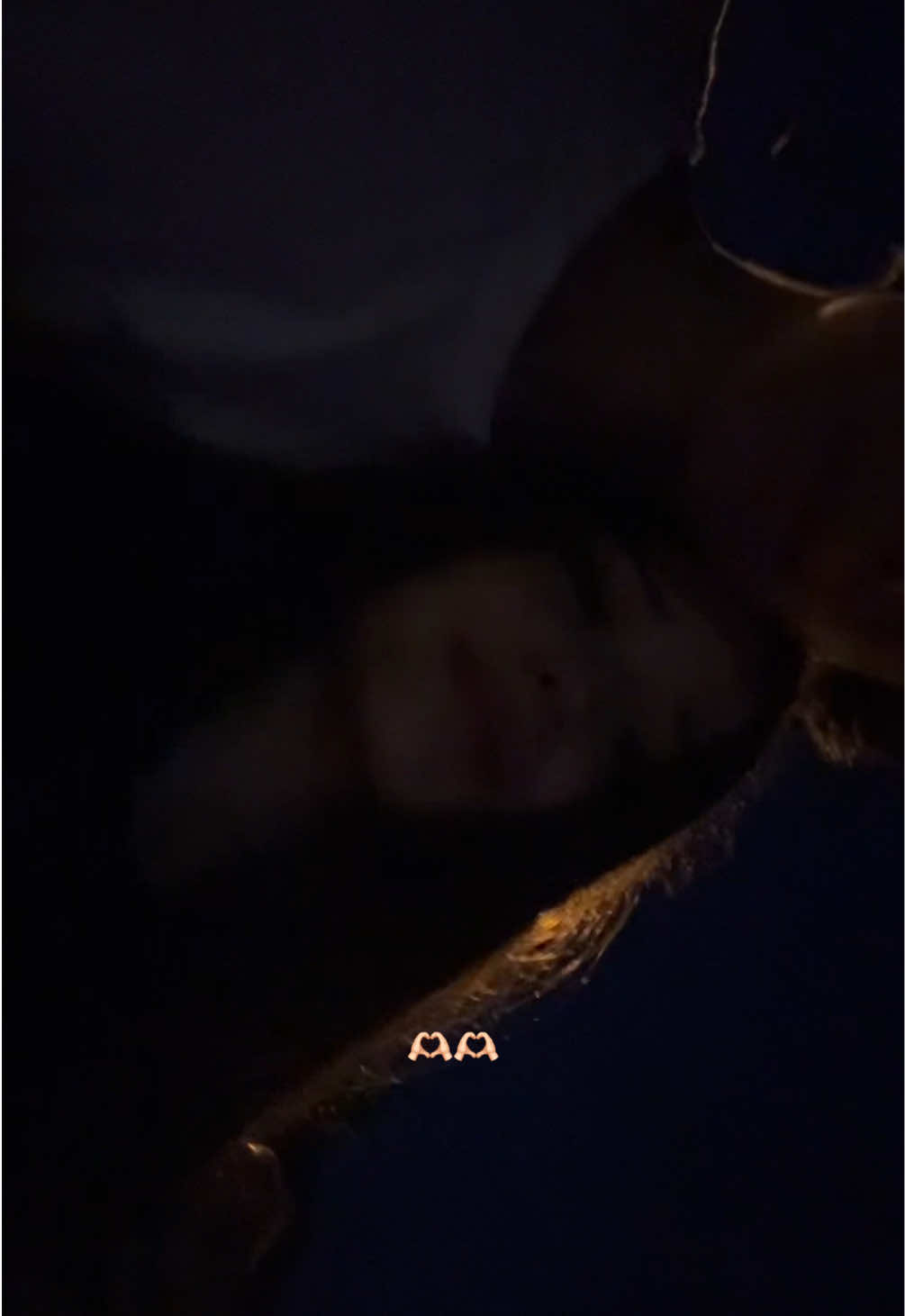 @тгк:мелиа