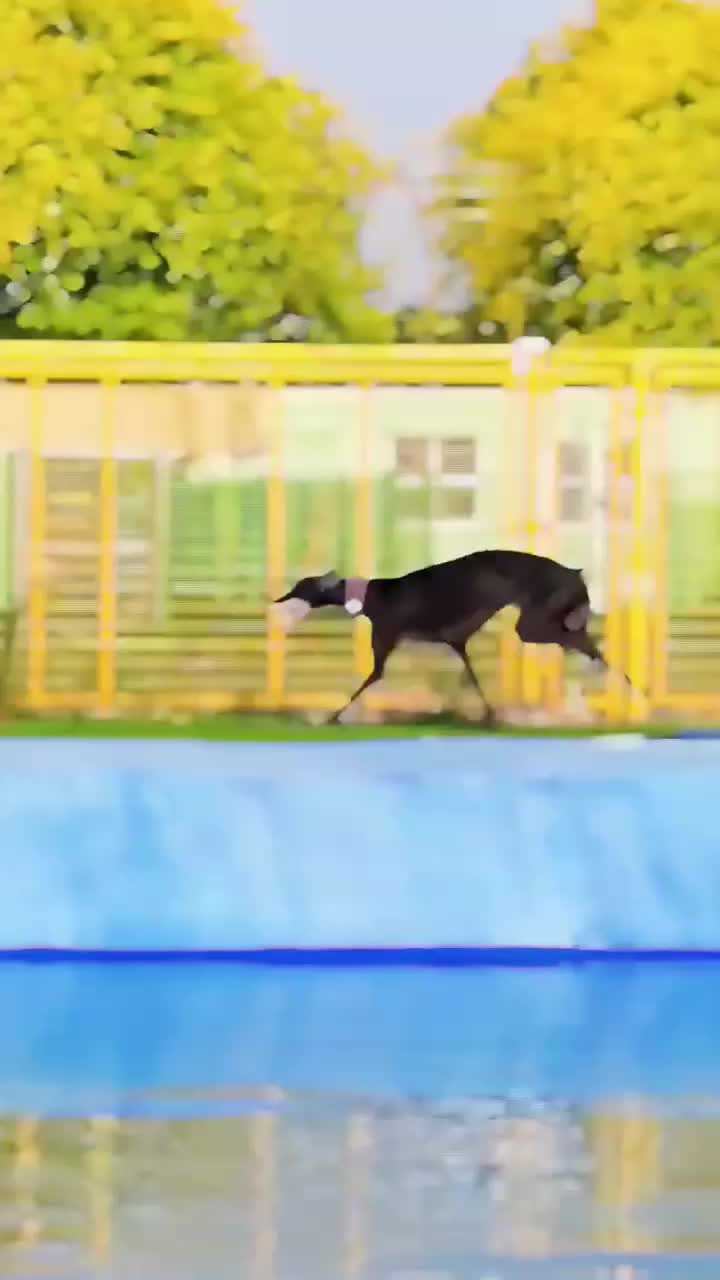 @Gₕₐₗₑₘ_Mₒₙₐcₒ🇪🇸🇪🇸