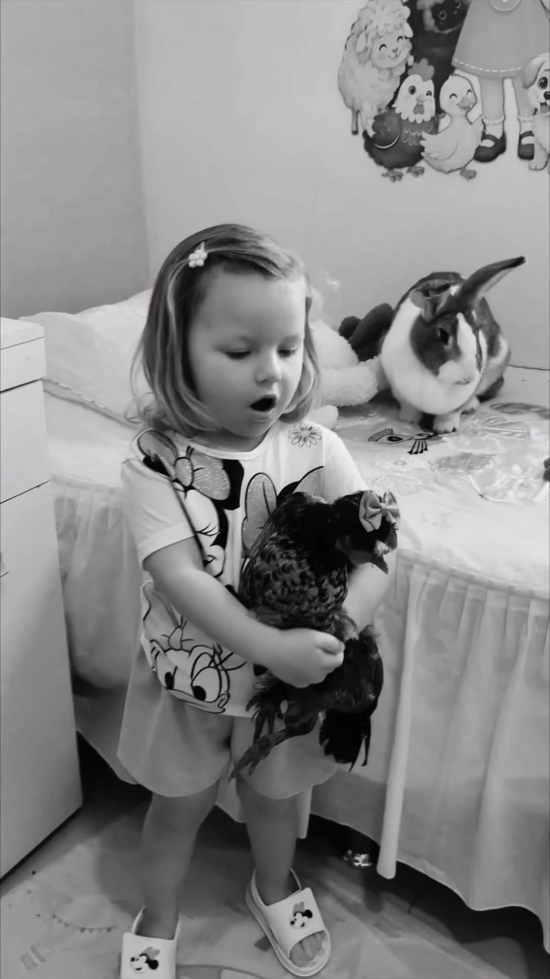 @Natália e Beatriz 🐣