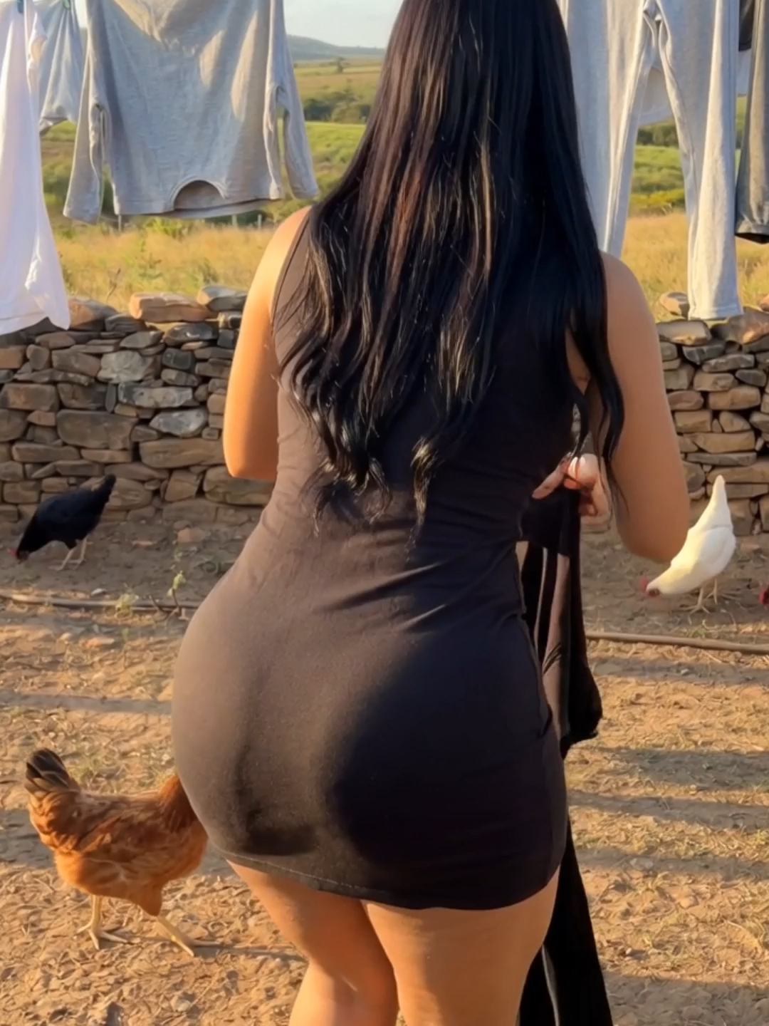 @paginadivaqueiro