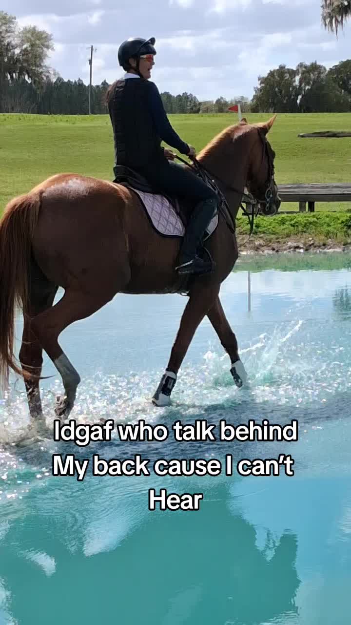 @sandbarfarm