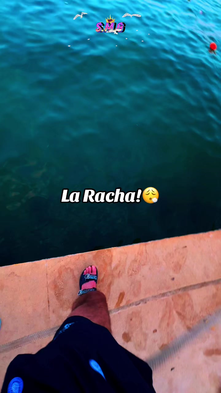 @Sebastian Mendoza Gonz&aacute;lez