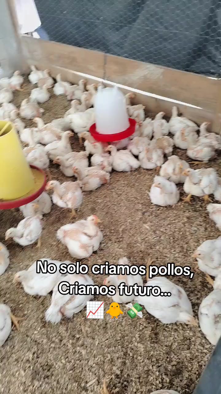 @ElyAlonzo