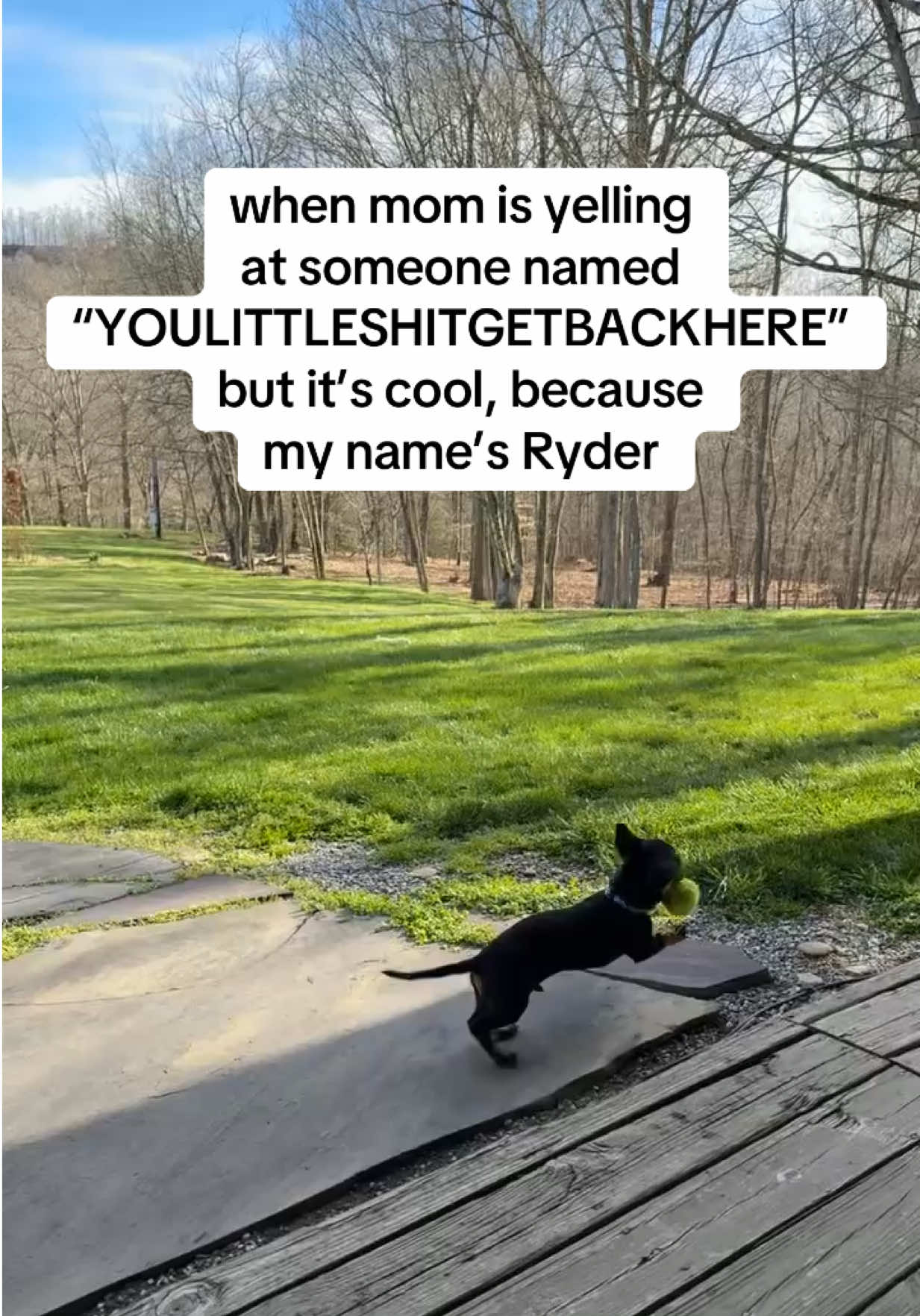 @Maddie :)