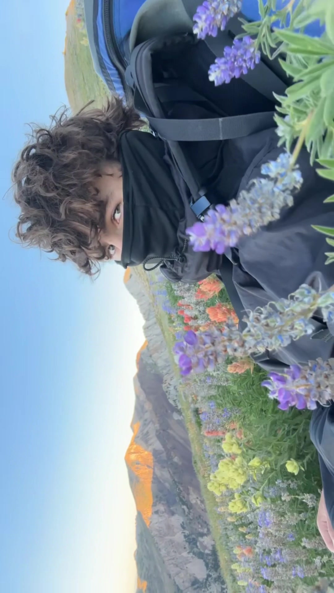 @bpdfilms