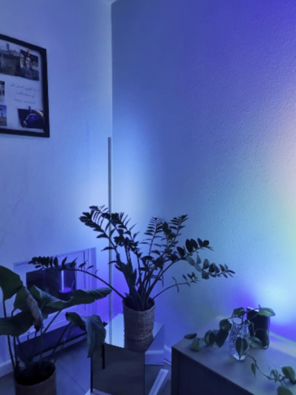 @Philips Hue