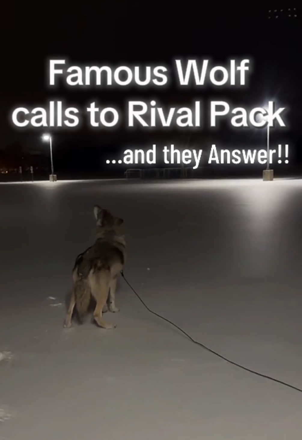 @i_am_not_Ayydot
