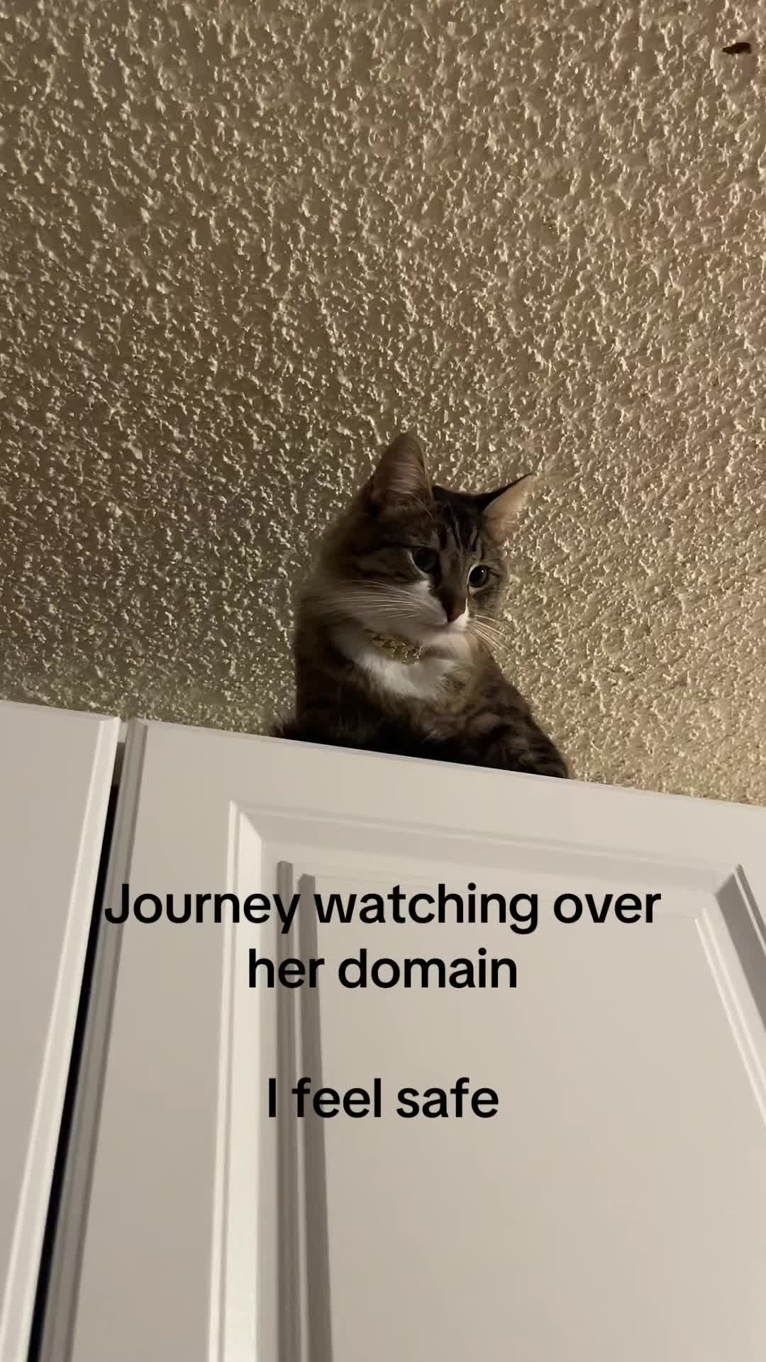 @Lord Business