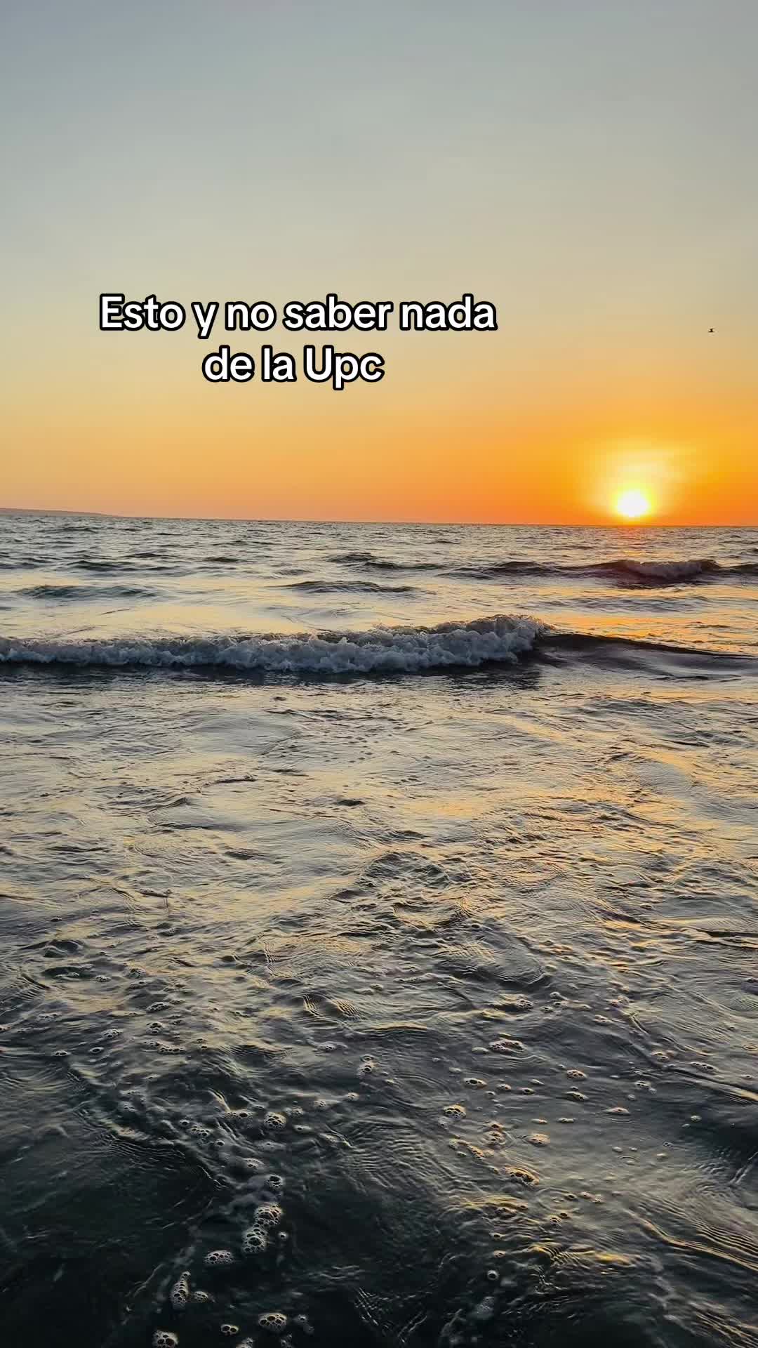 @camila:)