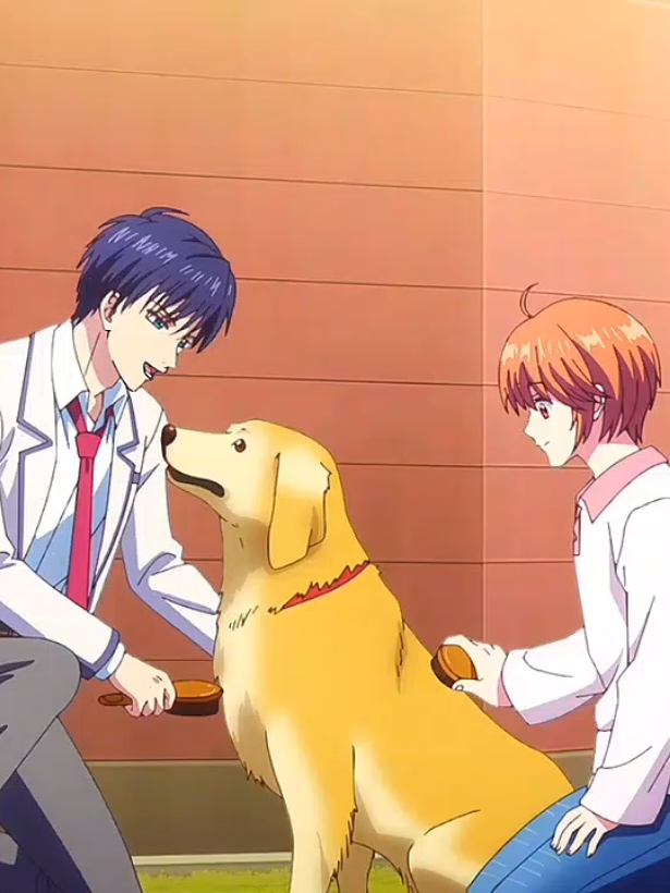 @Animeromanceydongua2.0