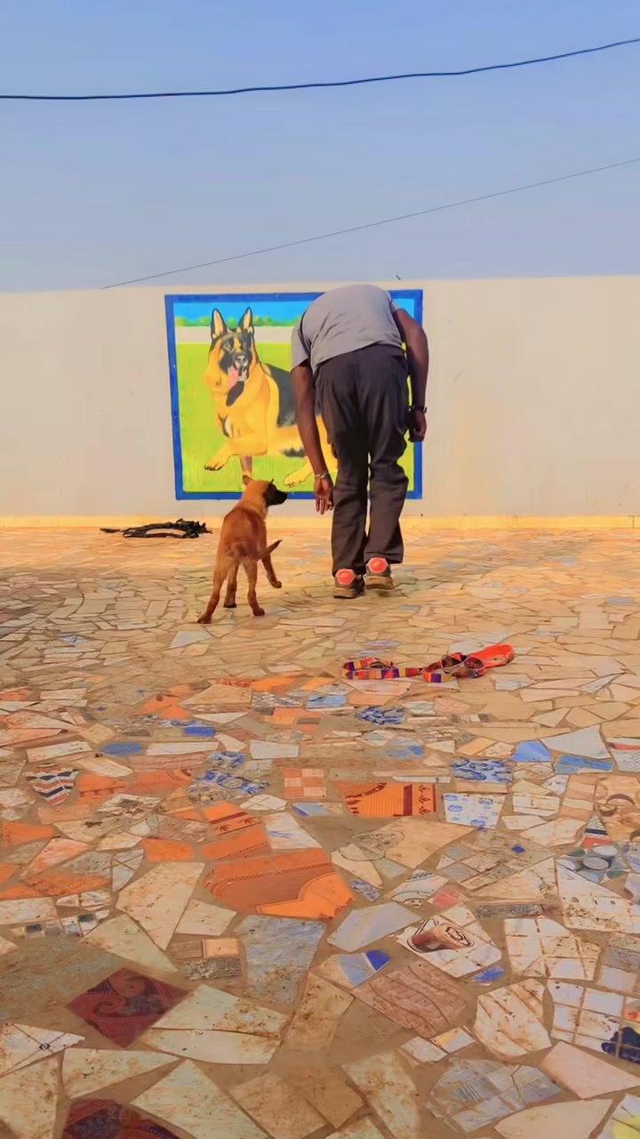 @G.I.C.N 🇸🇳🐾Ma&icirc;tre Weuz🐕&zwj;🦺