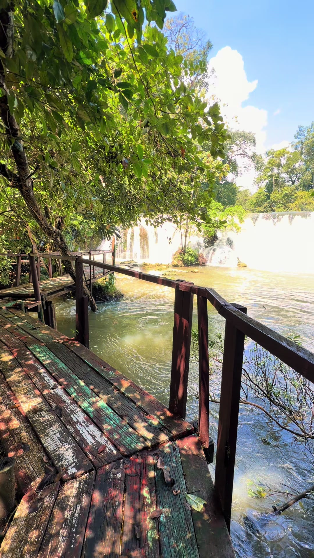 @Armando-Itzep🇬🇹