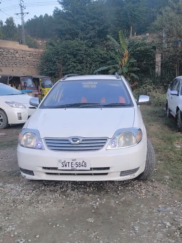 @ncpcarlover1