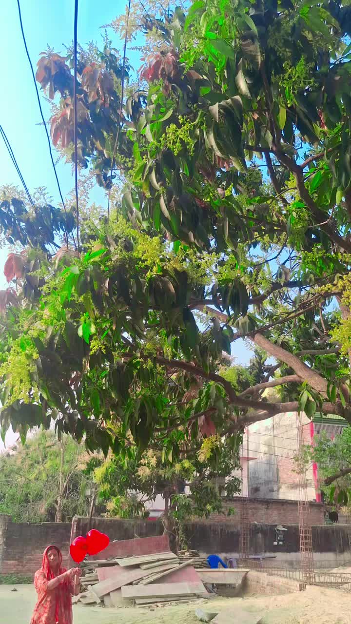 @shila thakur💚🌿🦋💙❤️💚💜💖