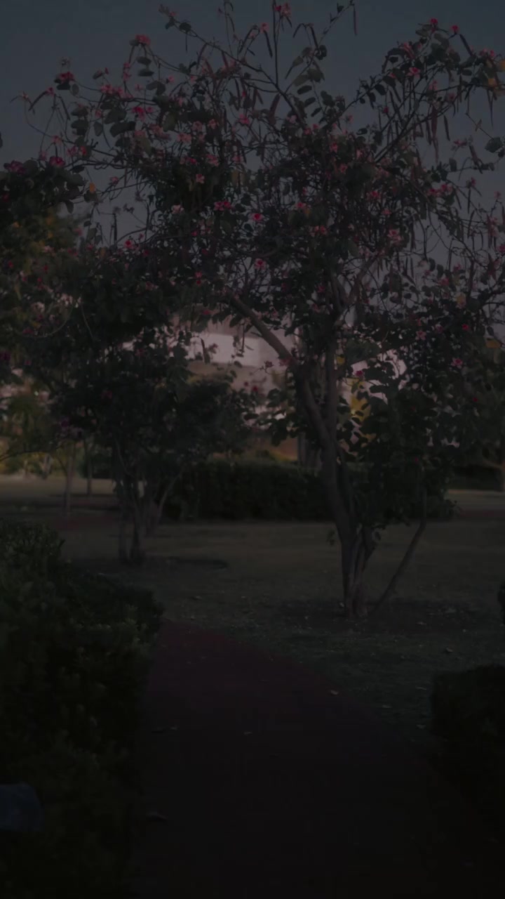 @lilyluna ᥫᩣ✨🌙
