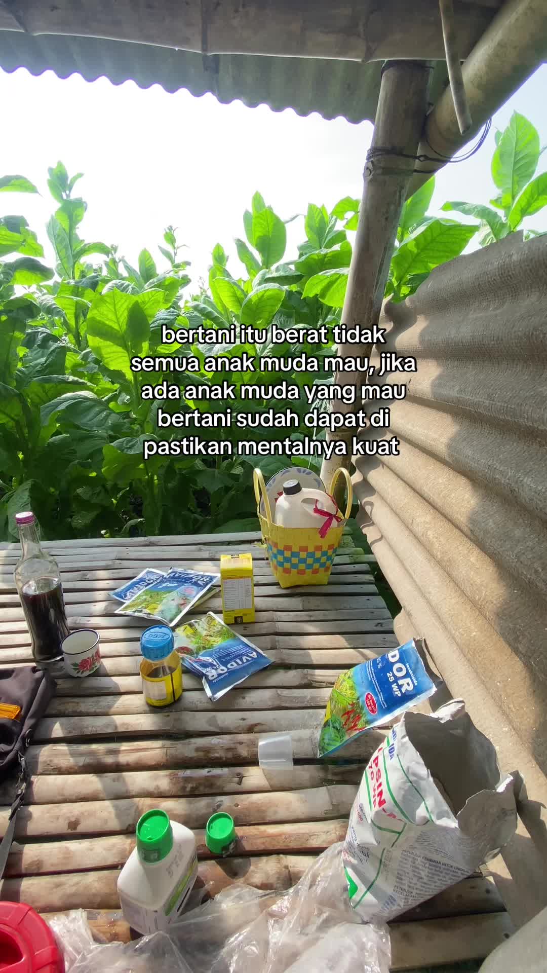 @Galang