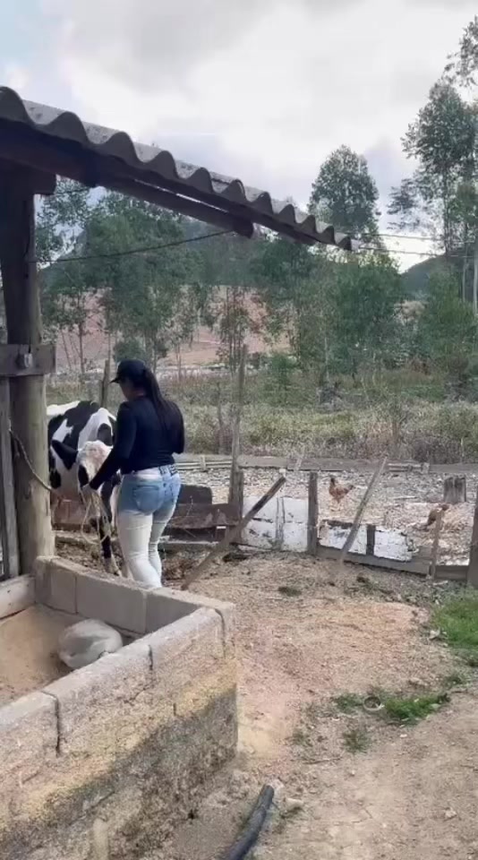 @Marcos da Silva