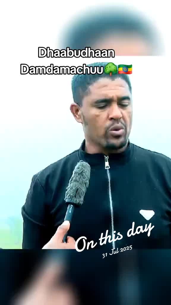 @Shimallis Abdisa Parody